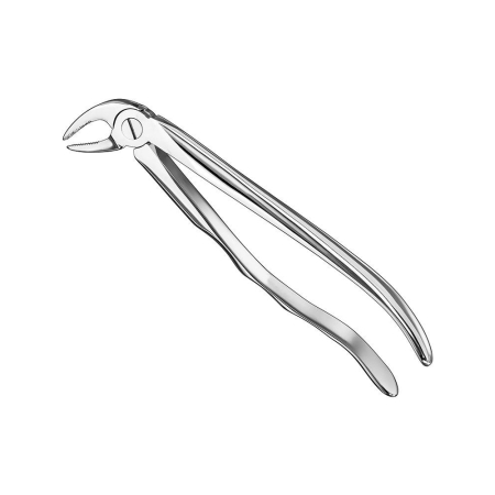 Extracting forceps, anat.